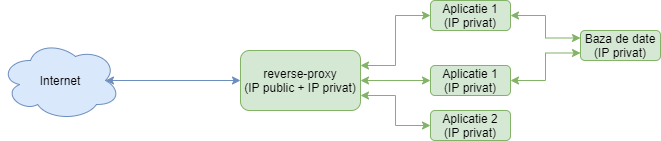 exemplu-reverse-proxy (1)